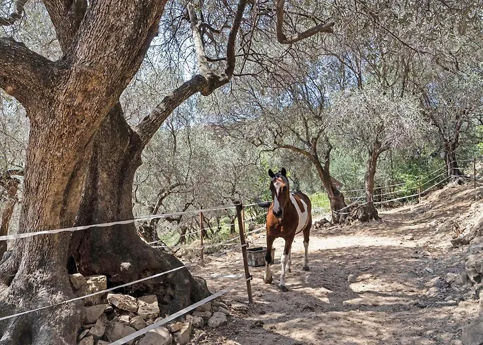 La Colombiera Nyaraló